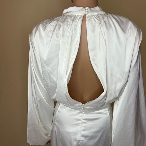 Fashion nova balloon sleeve dress - Picture 8 of 14